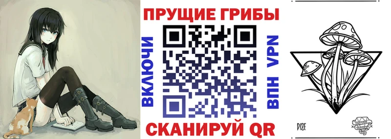 как найти наркотики  Завитинск  гидра сайт  Псилоцибиновые грибы прущие грибы 